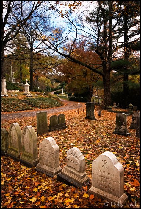 Mount Auburn Cemetery, Graveyard Aesthetic, Autumn Cemetery, Fall Cemetery, Celtic Crosses, Rivers And Roads, October Country, Halloween Tombstones, Old Cemeteries