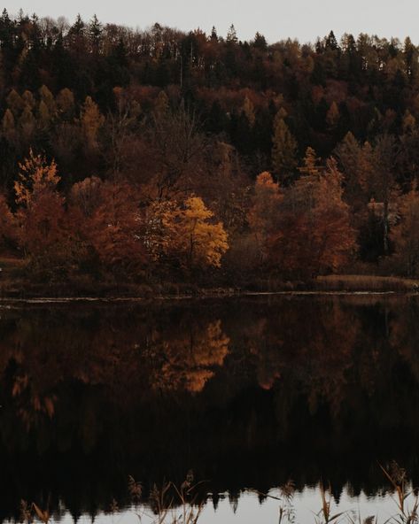 #autumn #fall #fallvibes #aesthetic #lake #nature #landscape #trees #foliage #mountains #reflection #scenery #folk Moody Autumn, Aesthetic Lake, Dark Autumn, Landscape Trees, Nature Landscape, Autumn Fall, Fall Vibes, Trees, Lake