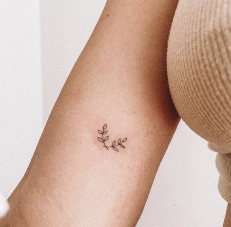 Small Wreath Tattoo, Tiny Ivy Tattoo, Laurel Flower Tattoo, Laurels Tattoo, Laurel Tattoo, Laurel Wreath Tattoo, Crown Tattoos For Women, Olive Tattoo, Ivy Tattoo