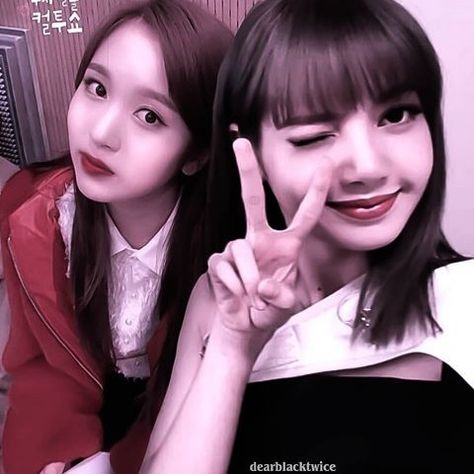 Mina And Lisa, Carl Grimes, Lisa Bp, Kpop Aesthetic, One In A Million, Peace Gesture, Ships, Quick Saves