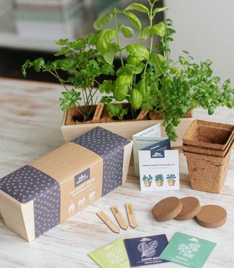 For the Green Thumb: Herb Garden Kit Herb And Vegetable Garden, Herb Garden Indoor, Growing Herbs At Home, Windowsill Herb Garden, Seed Starting Soil, Herb Garden Markers, Herb Garden Kit, Harvesting Herbs, Indoor Herb