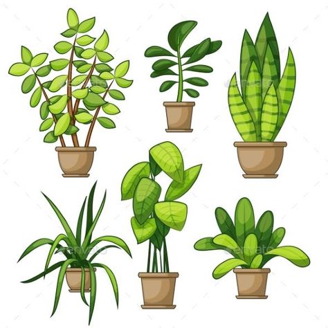 Set Of Different House Plants for $6 - GraphicRiver #vector #VectorGraphics #GraphicRiver #floral #BestDesignResources Plant Cartoon, Plants In Pots, Plant Doodle, Plant Painting, House Plants Decor, Plant Drawing, Home Decorating Ideas, Plant Illustration, Plant Art