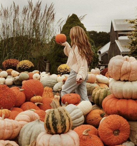 Pumpkin Patches Pictures, Pumpkin Patch Photo Shoot Ideas, Fall Family Pumpkin Patch Photos, Pumpkin Patch Fall Outfits, Pumpkin Patch Aesthetic Pictures, Pumpkin Patch Senior Pictures, Town Photoshoot Ideas, Pumpkin Patch Photoshoot Kids, Fall Pumpkin Patch Photo Shoot