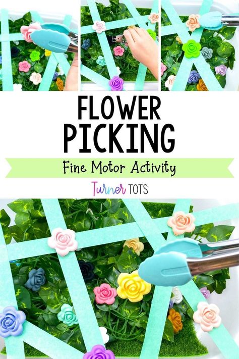 Plants And Flower Activities For Preschool, May Flowers Activities For Toddlers, May Day Activities For Toddlers, Imagination Lesson Plan For Preschool, Seeds Lesson Plans Preschool, Gardening Day Activities, Flower Science For Toddlers, Plants Fine Motor Activities, Flower Shop Activities Preschool