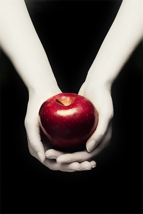 Twilight Cover V.I by vampynicole on DeviantArt Twilight Apple, Twilight Poster, Twilight Quotes, Twilight Saga Series, Twilight Edward, Twilight Photos, Twilight Book, Twilight Film, Twilight Pictures