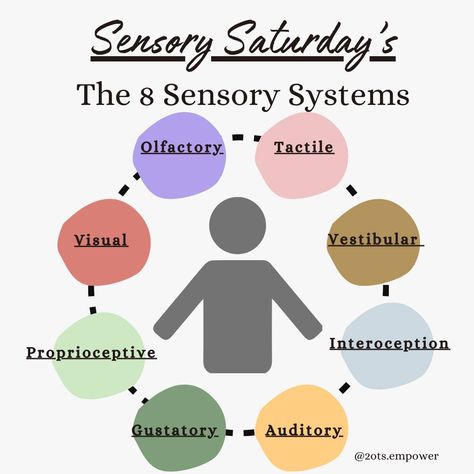 🌟 Introducing Sensory Saturdays for November! 🌟 Join us every Saturday this month as we dive into the fascinating world of our 8 sensory systems. Whether you're a parent, teacher, or looking to understand your own sensory needs, these posts will provide a quick overview and practical ideas to help you engage and support each system. ✨ What are the 8 Sensory Systems? Olfactory (Smell) Tactile (Touch) Vestibular (Balance and Movement) Interoceptive (Internal Body Awareness) Auditory (Hearing... Sensory System Anatomy, Sensory System, Parent Teacher, Body Awareness, The 8, Understanding Yourself, Anatomy, Parenting