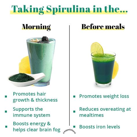 Spirulina Benefits For Women, Benefits Of Spirulina, Spirulina Benefits, Spirulina Recipes, Clear Brain Fog, Inflammation Recipes, Anti Inflammation Recipes, Healthy Supplements, Essential Oils Herbs