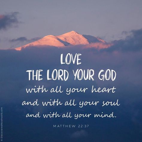 Jesus replied: Love the Lord your God with all your heart and with all your soul and with all your mind. Matthew 22:37 Matthew 22, Matthew 22 37, Bible Verse Background, Verses Wallpaper, Scripture Pictures, Bible Verse Wallpaper, Love The Lord, Bible Encouragement, Scripture Quotes