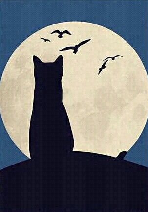 Cat Shadow Drawing, Cat Shadow, Shadow Drawing, Creepy Drawings, Cats Black, Black Cats, School Stuff, Black Cat, Jade