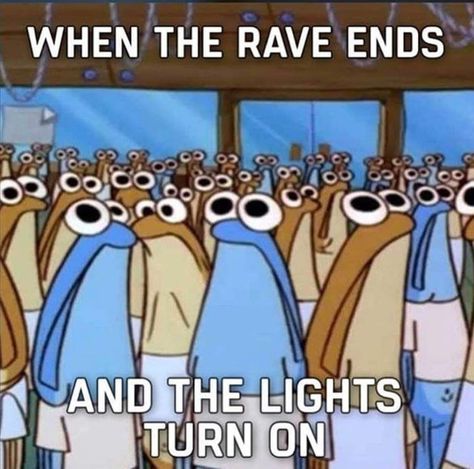 Real rave never ends! #funny #memes Rave Memes, Rave Quotes, Rave Meme, Edm Music Festivals, Festival Quotes, Techno Party, Rave Music, Techno Music, Morning Humor