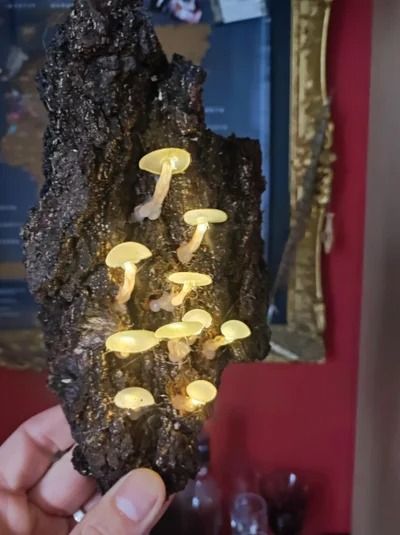 Hot Glue Mushroom Lights : 8 Steps (with Pictures) - Instructables Hot Glue Art, Glue Art, Mushroom Crafts, Magic Crafts, Mushroom Lights, Mushroom Fairy, Forest Decor, Light Crafts, Mushroom Decor