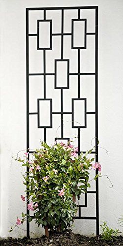 Contemporary Trellis, Wall Trellis, Diy Garden Trellis, Metal Trellis, Diy Trellis, Small Backyard Gardens, Modern Landscape Design, Low Maintenance Garden, Contemporary Garden