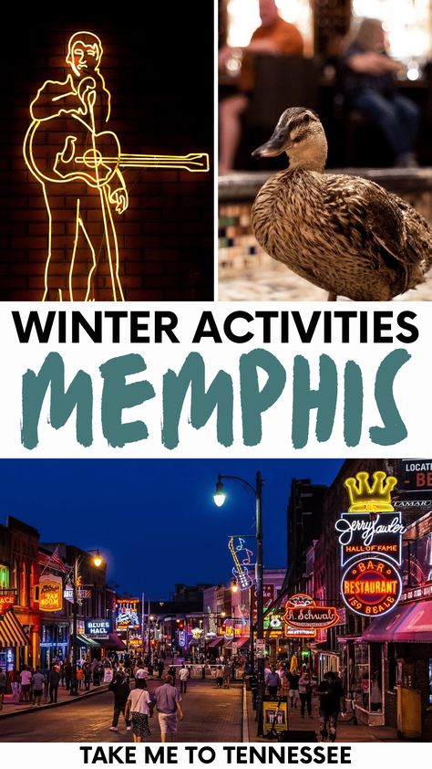 Memphis Vacation, Things To Do In Memphis Tn, Memphis Tennessee Vacation, Memphis Hotels, Tennessee Outfits, Memphis Zoo, Zoo Lights, Holiday Parades, Memphis Tn