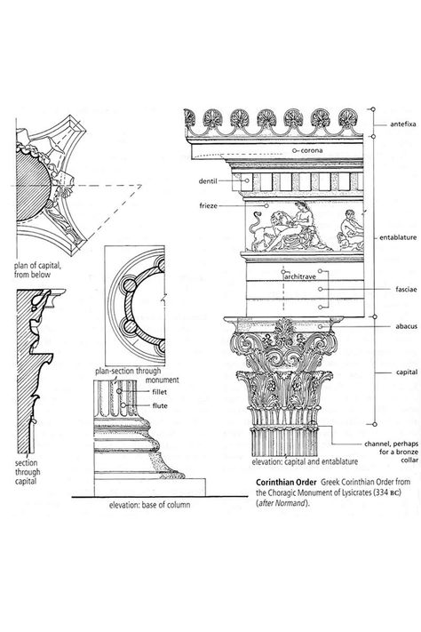 Greek Corinthian Order from the Choragic Monument of Lysicrates (334 BC) (after Normand) (Dictionary) 2006 James Stevens Curl Ancient Greece Projects, Corinthian Order, Architectural Columns, Architect Drawing, Greek Temple, Ornament Drawing, Ancient Greek Architecture, Temple Architecture, Architecture History