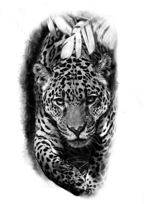 Tattoo Leopard, Cheetah Tattoo, Lion Art Tattoo, Big Cat Tattoo, Jaguar Tattoo, Wolf Tattoos Men, Animal Sleeve Tattoo, Leopard Tattoos, African Tattoo