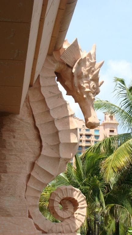 Seahorse Sculpture, Seahorse Art, Sea Dragons, Get Off My Lawn, Cement Art, Sea Horses, Fish Sculpture, Sea Dragon, Exotic Fish