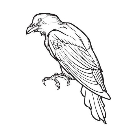 Crow Coloring Pages Preshoolers in 2022 | Tattoo art drawings, Drawings, Line drawing Crows Drawing, Crow Tattoo Design, Crow Tattoo, Handpoke Tattoo, Animal Illustration Art, Crow Art, Raven Tattoo, Black Raven, Raven Art