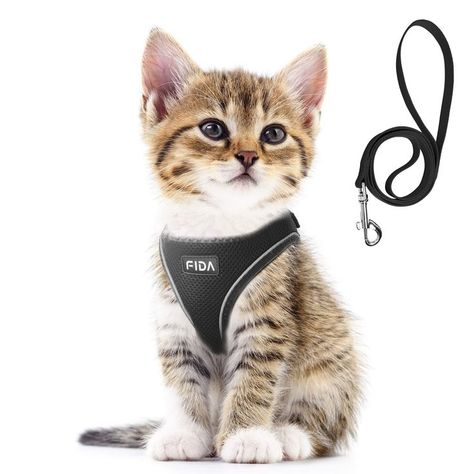 Fida Comfy Dog Harness with Leash, Cat Vest Harness Escape Proof, Breathable Lightweight Soft Mesh, Adjustable Reflective Ste Kitten Harness, Cat Harness And Leash, Kitten And Puppy, Cute Dog Harness, Harness And Leash Set, Small Kittens, Pet Steps, Dog Vest Harness, Cat Harness