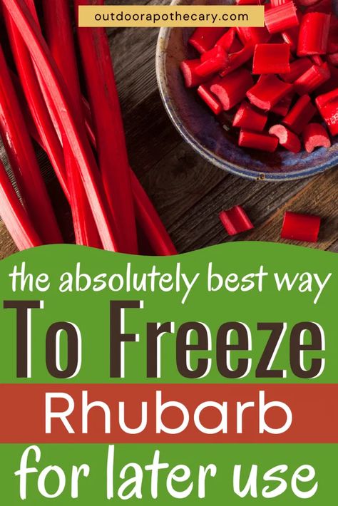 Can You Freeze Rhubarb, Easy Rhubarb Recipes, Freeze Rhubarb, Growing Rhubarb, Rhubarb Sauce, Freezing Vegetables, Rhubarb Desserts, Rhubarb Pie, Rhubarb And Custard