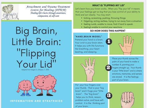 As I would like to work with children, I think the simplicity of this pin would help to explain the concept of 'flipping your lid'. Mindsight Daniel Siegel, Flipping Your Lid, Flip Your Lid, Daniel Siegel, Window Of Tolerance, Soft Voice, Whole Brain Child, Brain Models, School Social Work