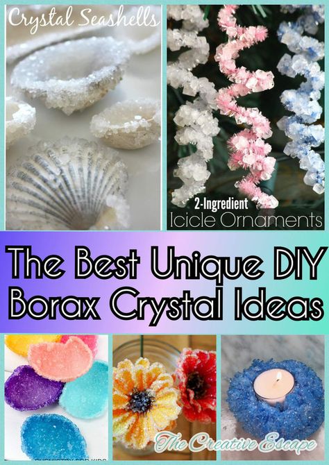 The Best Unique DIY Borax Crystal Ideas Borax Crafts, Borax Crystals Diy, Diy Crystal Crafts, Crystal Ideas, Grow Your Own Crystals, Borax Crystals, Crystal Seashells, Growing Crystals, Diy Science Experiments