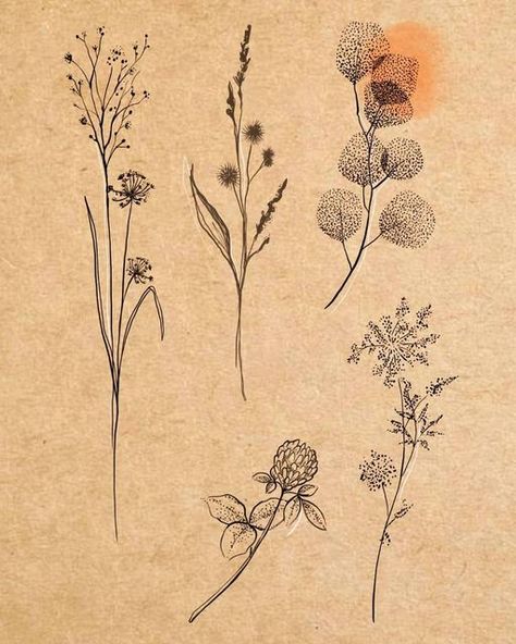 Dried Herbs Tattoo, Wild Grasses Tattoo, Dotwork Floral Tattoo, Grasses Tattoos, Herbarium Tattoo, Ornamental Botanical Tattoo, Handpoke Flower Tattoo, Botanical Line Tattoo, Fineline Botanical Tattoo