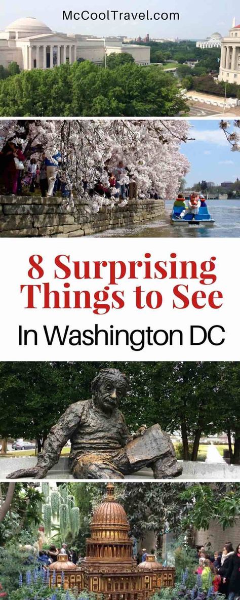 8 Great Surprising Things to See in Washington DC • McCool Travel Washington Dc Travel Guide, Washington Dc Vacation, Dc Vacation, Things To Do In Washington, Washing Dc, Visit Dc, Visiting Washington Dc, Dc Trip, Single Travel