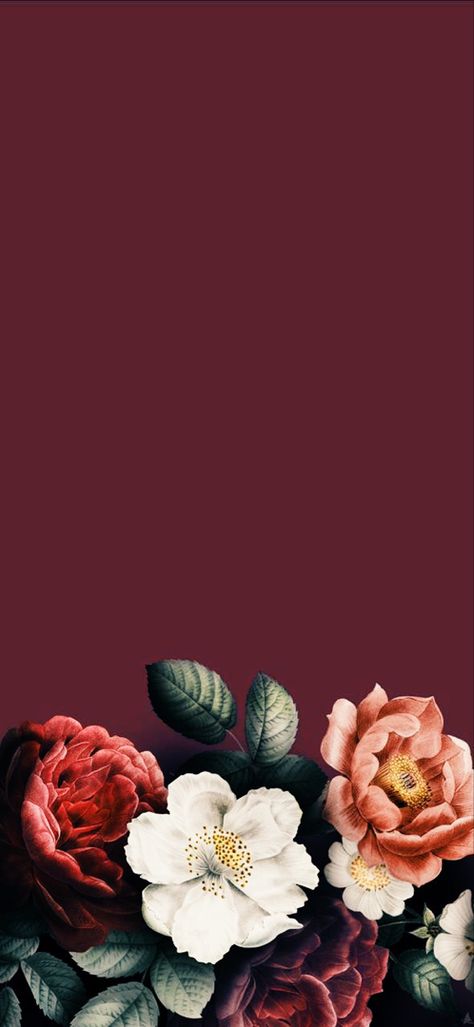 Maroon Floral Wallpaper, Maroon Wallpapers Iphone, Burgundy Wallpaper Aesthetic, Burgundy Aesthetic Wallpaper, Maroon Aesthetic Wallpaper, Minimal Aesthetic Instagram, Maroon Wallpaper, Editorial Editing, Burgundy Wallpaper