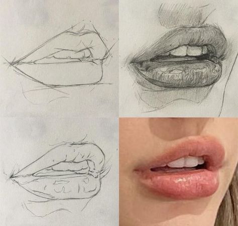 Drawing Mouths Step By Step, Realistic Mouth Drawing, Mouth Types, Lips Drawing Reference, Lips Drawing Tutorial, Lips Tutorial, Drawing Lips, Lips Sketch, Rough Sketches