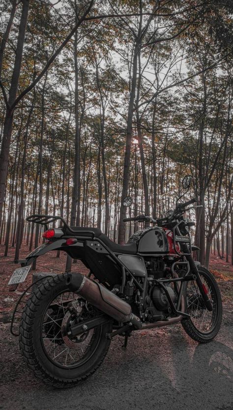 Continental Gt 650 Modified, Gt 650 Modified, Continental Gt 650 Modified Wallpaper, Bikes Royal Enfield, Himalayan Bike, Hd Love Wallpaper, Full Hd Love Wallpaper, Royal Enfield Hd Wallpapers, Re Himalayan