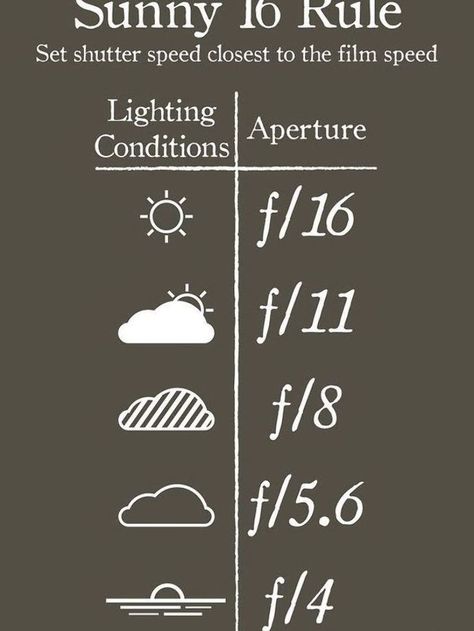 Cheat Sheet Photography, Sheet Photography, Nikon D5200 Photography, Photography Cheat Sheet, Beginner Photography Camera, Elements Photography, Sunny 16 Rule, Speed Photography, Shutter Speed Photography