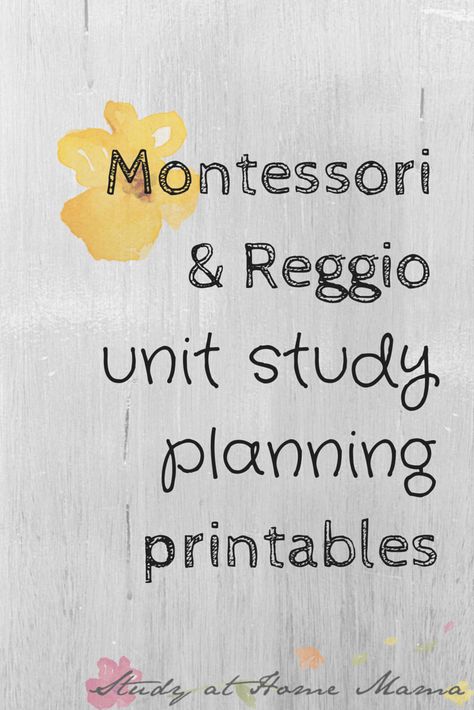 Reggio Emilia Preschool, Study Planning, Study At Home, Reggio Emilia Classroom, Emergent Curriculum, Infant Lesson Plans, Reggio Emilia Approach, Reggio Inspired Classrooms, Reggio Emilia Inspired