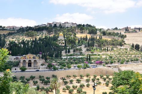 Mount of Olives Gethsemane Jesus, Damascus Gate, Limestone Paving, Mount Of Olives, Temple Mount, Dome Of The Rock, Jewish Culture, Places On Earth, Famous Books