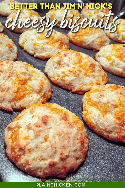 Better than Jim ‘N Nick’s Cheesy Biscuits – delicious and easy mini cheese biscuits – I ate WAY too many of these! Only 5 ingredients and ready in about 15 minutes! Bisquick, buttermilk, sugar, vanilla and cheddar cheese. #biscuit #roll #cheese #bbq #sidedish #breakfast #lunch Plain Chicken Recipe, Cheesy Biscuits, Cheesy Biscuit, Easy Main Dishes, Bisquick Recipes, Plain Chicken, Cheese Biscuits, Cheese Muffins, Cooked Food