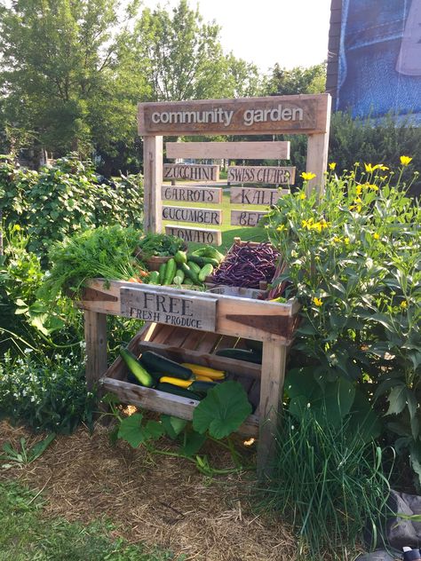 Learning Garden, Little Free Pantry, Minnesota Art, Free Pantry, Green Infrastructure, Homesteading Animals, Third Space, Something Green, Space Project