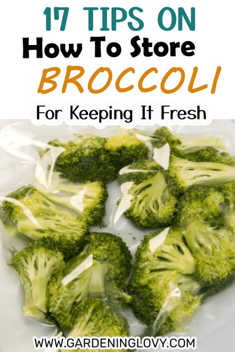 how to cook broccoli
how to freeze broccoli
how to store broccoli in the freezer
how to store broccoli and cauliflower How To Store Cauliflower, How To Store Broccoli, How To Store Broccoli In Fridge, How To Clean Broccoli, How To Store Cauliflower In Fridge, How To Freeze Broccoli, Freeze Broccoli, How To Store Celery, Cooking Fresh Broccoli