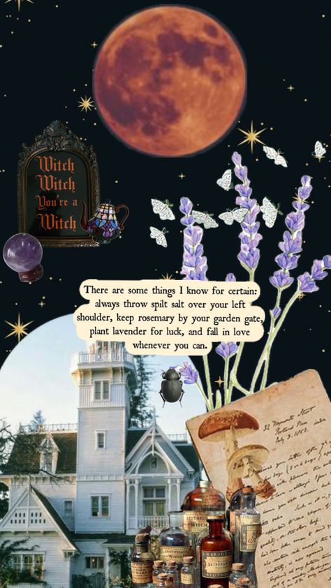 Practical magic season ✨ Practical Magic Quotes, Practical Magic Movie, Magic Background, Magic Birthday, Magic Party, Fall Mood Board, Magic Aesthetic, Season Of The Witch, Witch Aesthetic