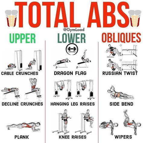 gym/workout/diet on Instagram: “@fitness_._tips TOTAL ABS 💪🔥 SAVE THIS POST FOR LATER! 📥📥 👉 Follow @fitness_._tips for more amazing daily workout content! 💪 Abs are…” Abs Day Workout Gym, Core Day Workout Gym, Ab Day Workout, Full Ab Workout, Total Abs, Workout Plan For Men, Gym Workout Plan For Women, Diet Plans For Men, Ab Day