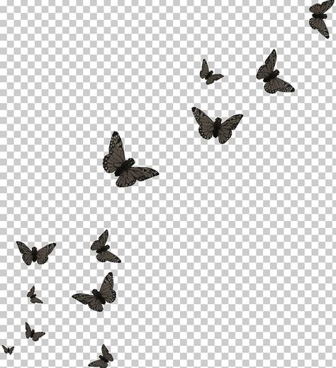 Black And White Png Aesthetic, Butterfly Png Aesthetic, Black Png Aesthetic, Bird Black And White, Butterflies Png, Scrapbook Png, Black And White Png, Png Butterfly, Bird Png