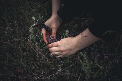 #witch #witchcore #aesthetic #witchaesthetic Familiar Aesthetic Witch, Messy Witch Aesthetic, 1800s Witch Aesthetic, Spells For Forgetting Aesthetic, Norse Witch Aesthetic, Weyward Emilia Hart Aesthetic, Spiritualist Aesthetic, Country Witch Aesthetic, Witch Style Aesthetic