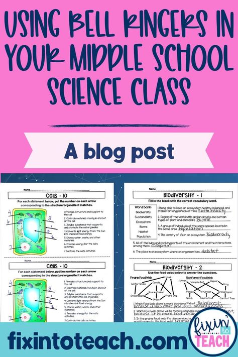 Are you a middle school science teacher that struggles with the beginning of each class period? I was that teacher until I started using bell ringers or warm-ups when students come into my classroom each day. In this blog post, I tell you how you can use bell ringers as a classroom management tool for 6th, 7th, or 8th grade. If you want your students to have a set routine when they enter your classroom each period and review concepts at the same time, this blog post is for you. Middle School Science Lab Setup, Science Bell Ringers Middle School, Amplify Science Middle School, Middle School Science Syllabus, Science Classroom Themes Middle School, Earth Science Classroom Decorations, Middle School Science Classroom Setup, 7th Grade Science Classroom, 8th Grade Science Classroom