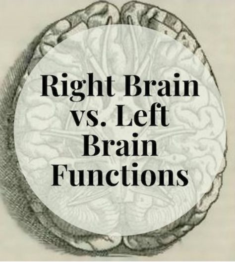 Right Brain Vs Left Brain, Left Vs Right Brain, Apologia General Science, Brain Anatomy And Function, Intro To Psychology, Right Side Of The Brain, Left Brain Right Brain, Healing Water, Brain Mapping