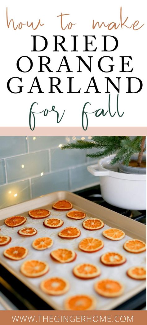 Sep 2, 2020 - The simplest instructions for How to Make a Dried Orange Garland. Dried oranges are simple to make, eco-friendly and only cost a few dollars! Dried Orange Garland, Joululahjat Diy, Easy Diy Fall Decor, Decorate Ideas, Halloween Decor Diy, Easy Fall Decor, Easy Decor, Fall Thanksgiving Decor, Fall Deco