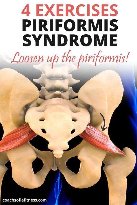 piriformis muscle anatomy Piriformis Exercises, Piriformis Syndrome Exercises, Hip Mobility Exercises, Hip Strengthening Exercises, Hip Flexor Exercises, Piriformis Muscle, Hip Pain Relief, Piriformis Stretch, Muscle Stretches