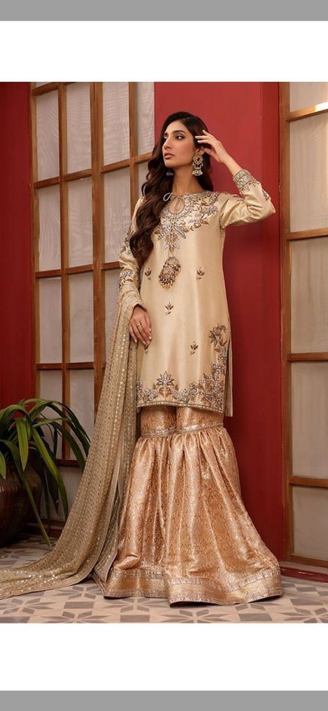 Gradient Gown, Jamawar Gharara, Back Shirt, Party Wear Indian Dresses, Chiffon Dupatta, Fashion Consultant, Large Fashion, Raw Silk, Indian Dresses