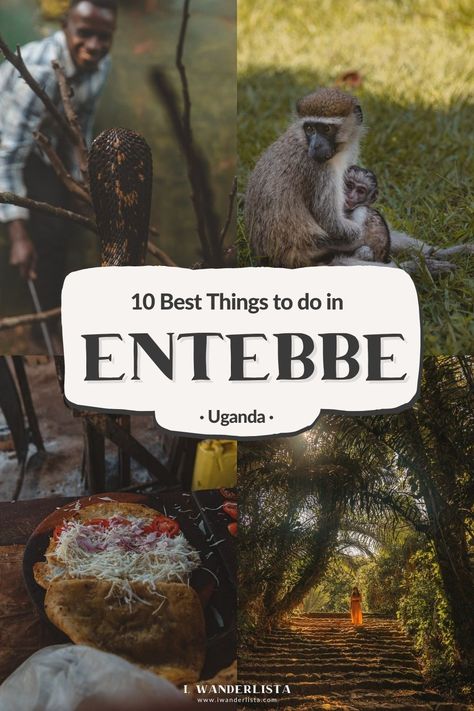 Entebbe Uganda, African Destinations, Uganda Travel, Africa Adventure, Kampala Uganda, Catch Flights, Mission Trip, Honeymoon Ideas, Adventure Vacation