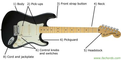 Guitar Parts Names | Know The Parts Of Electric Guitar Electric Guitar Parts, Guitar Parts, Guitar Body, Gibson Les Paul, New Students, Body Electric, Acoustic Guitar, Electric Guitar, Guitar