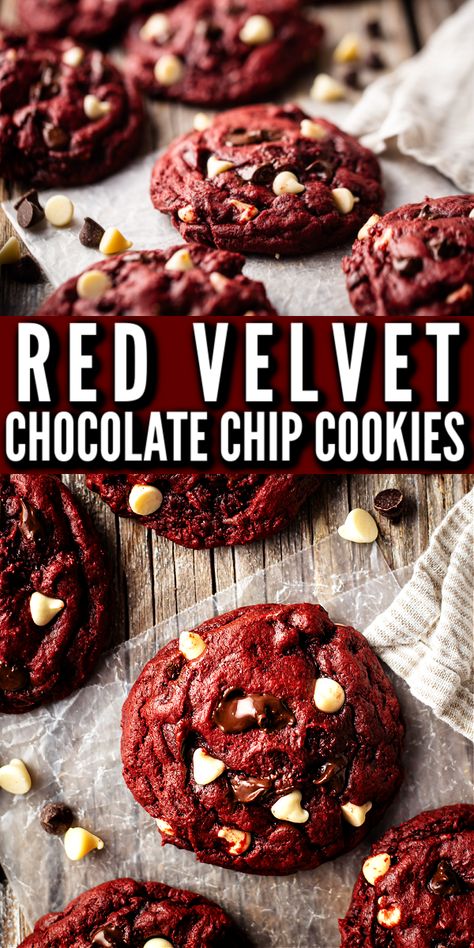 Soft & gooey red velvet chocolate chip cookies, made with cream cheese and a hint of cocoa. These are so killer! Colossal Cookies, Red Velvet Chocolate Chip Cookies, Red Velvet Cookie Recipe, Red Velvet Chocolate, Easy Red Velvet, Red Velvet Desserts, 2023 Recipes, Velvet Cookies, Red Velvet Cookies