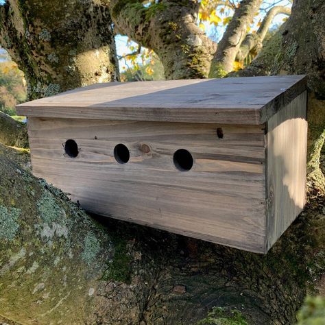 Sparrow Nest, Butterfly Habitat, Hedgehog House, Nest Box, Sparrow Bird, Wood Roof, Nesting Box, Bird Care, Wildlife Gardening