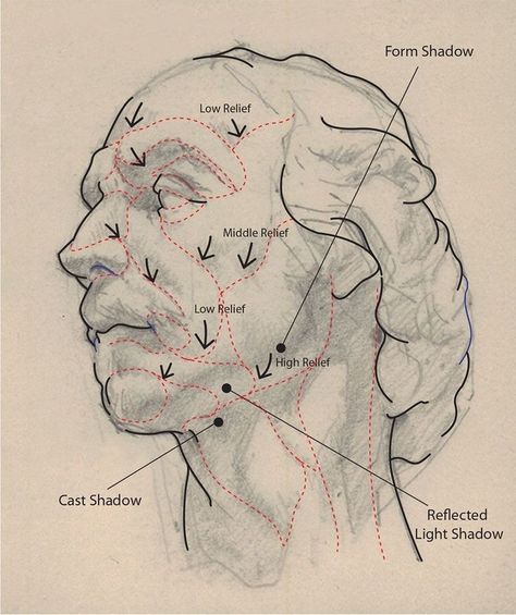 Drawing Magazine, How To Draw Faces, Draw Faces, Drawing Realistic, Pencil Portraits, Drawing Heads, Drawing Faces, Drawing Pencil, Pencil Portrait